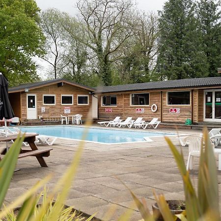 Honeysuckle Lodge Set In A Beautiful 24 Acre Woodland Holiday Park Newcastle Emlyn Exterior foto