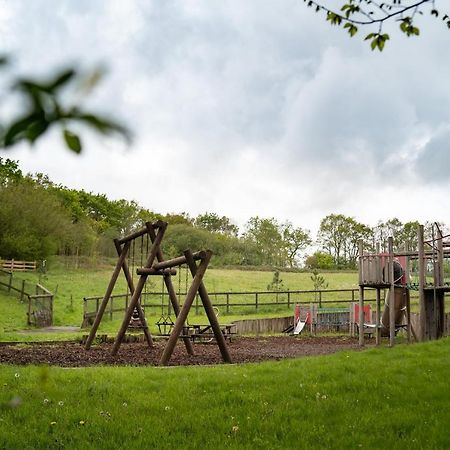 Honeysuckle Lodge Set In A Beautiful 24 Acre Woodland Holiday Park Newcastle Emlyn Exterior foto